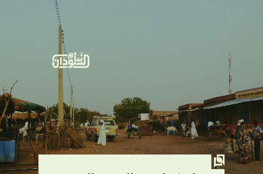RSF Militias Loot Al-Mazroub Market in North Kordofan Amid Panic in Their Ranks 15 RSF Militias Loot Al-Mazroub Market in North Kordofan Amid Panic in Their Ranks