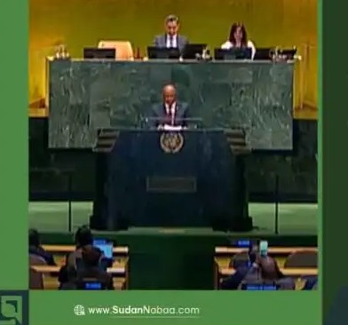Sudan FM Calls for Pressure on Neighboring Countries to Halt Support ‎for Militias