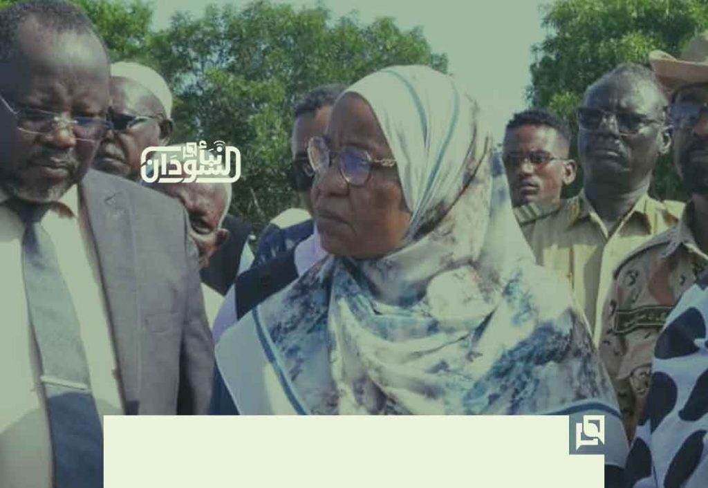 HAC Commissioner Inspects IDPs in Geissan