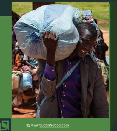 IOM Expects Reliquish of IDP Shelter materials in Sudan by the End of September