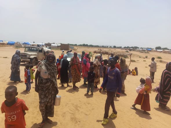 Displacement Continues to Tawila Amid Conflict, Insecurity and ‎Drought