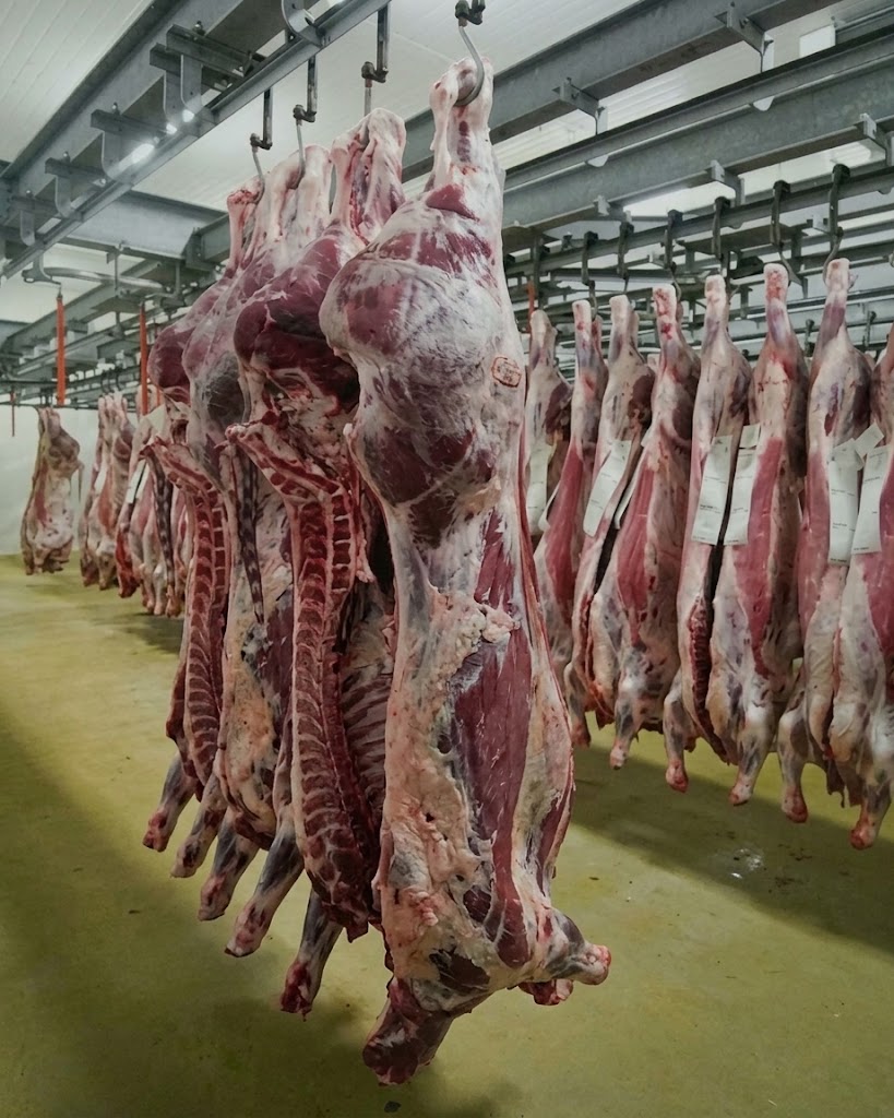 Sudan Begins Meat Exports to Kuwait