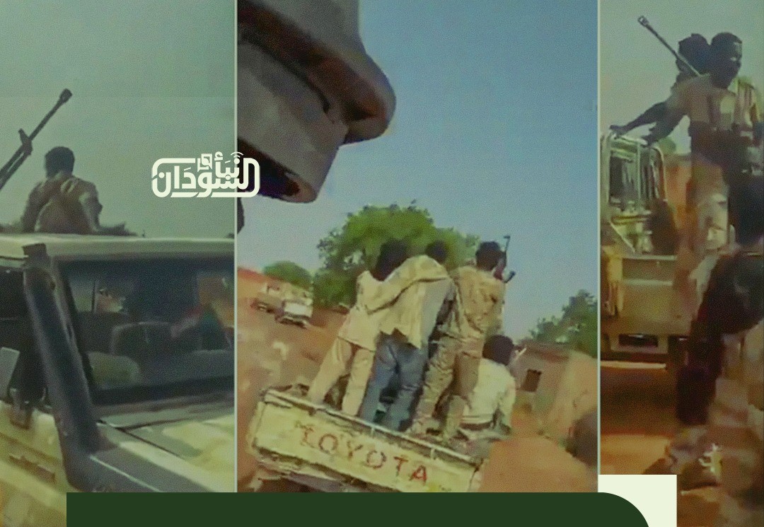 RSF Militia Loots More Than 70 Camels in West Kordofan 3 RSF Militia Loots More Than 70 Camels in West Kordofan