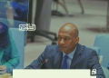 Sudanese Diplomat Says Peace Cannot Be Achieved by Disarming the State 15 Sudanese Diplomat Says Peace Cannot Be Achieved by Disarming the State