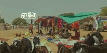 Dar Hamar Emergency Room: RSF Members Loot All Shops in Eyal ‎Bakhit Area