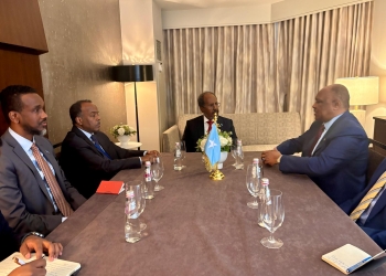Somali President Receives Foreign Minister