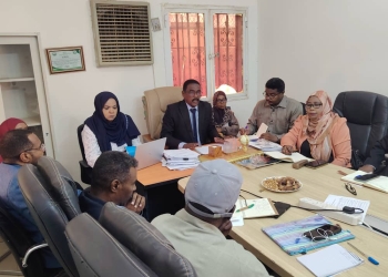 Sudan Prepares to Participate in COP31 Climate Conference in Türkiye