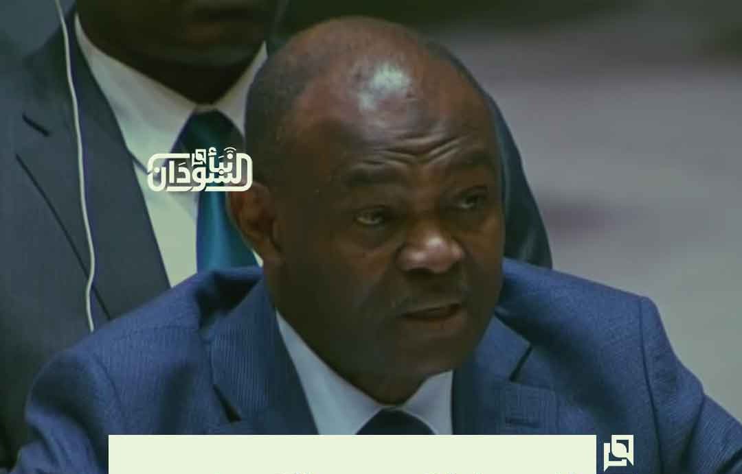 Sudan’s UN Envoy: Equating Sudanese Army with Militias Undermines Justice