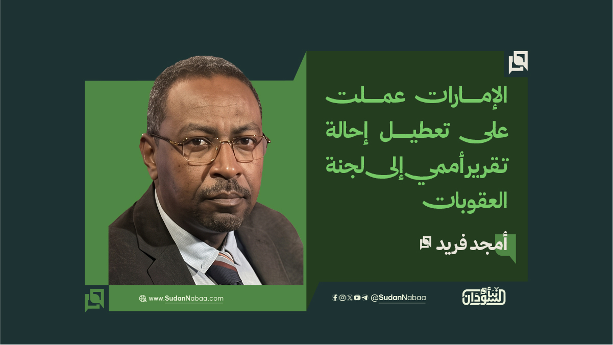 أمجد فريد: الإمارات عملت على تعطيل إحالة تقرير أممي إلى لجنة العقوبات 10 أمجد فريد: الإمارات عملت على تعطيل إحالة تقرير أممي إلى لجنة العقوبات
