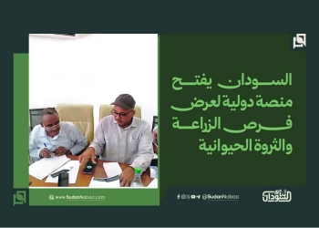 السودان يفتح منصة دولية لعرض فرص الزراعة والثروة الحيوانية