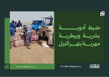 ضبط أدوية بشرية وبيطرية مهربة بنهر النيل