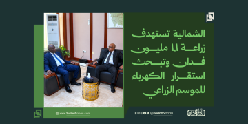 الشمالية تستهدف زراعة 1.1 مليون فدان وتبحث استقرار الكهرباء للموسم الزراعي