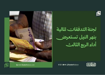 لجنة التدفقات المالية بنهر النيل تستعرض أداء الربع الثالث