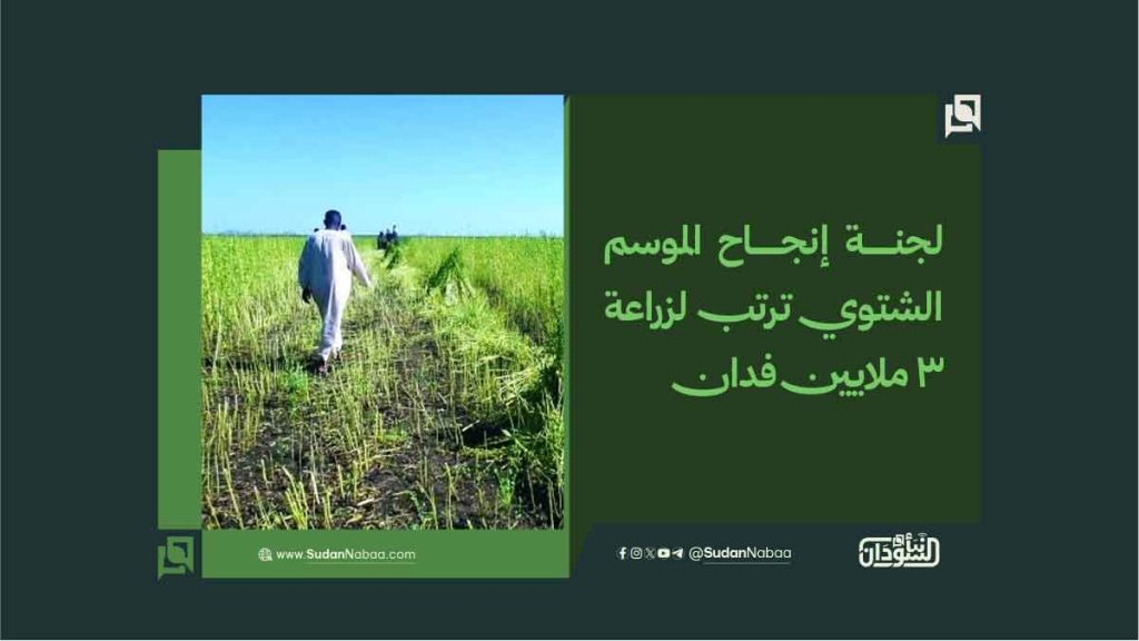 لجنة إنجاح الموسم الشتوي ترتب لزراعة 3 ملايين فدان 1 097