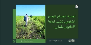 لجنة إنجاح الموسم الشتوي ترتب لزراعة 3 ملايين فدان