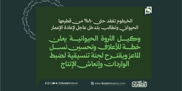 الخرطوم تفقد حتى 80% من قطيعها الحيواني وتطالب بتدخل عاجل لإعادة الإعمار