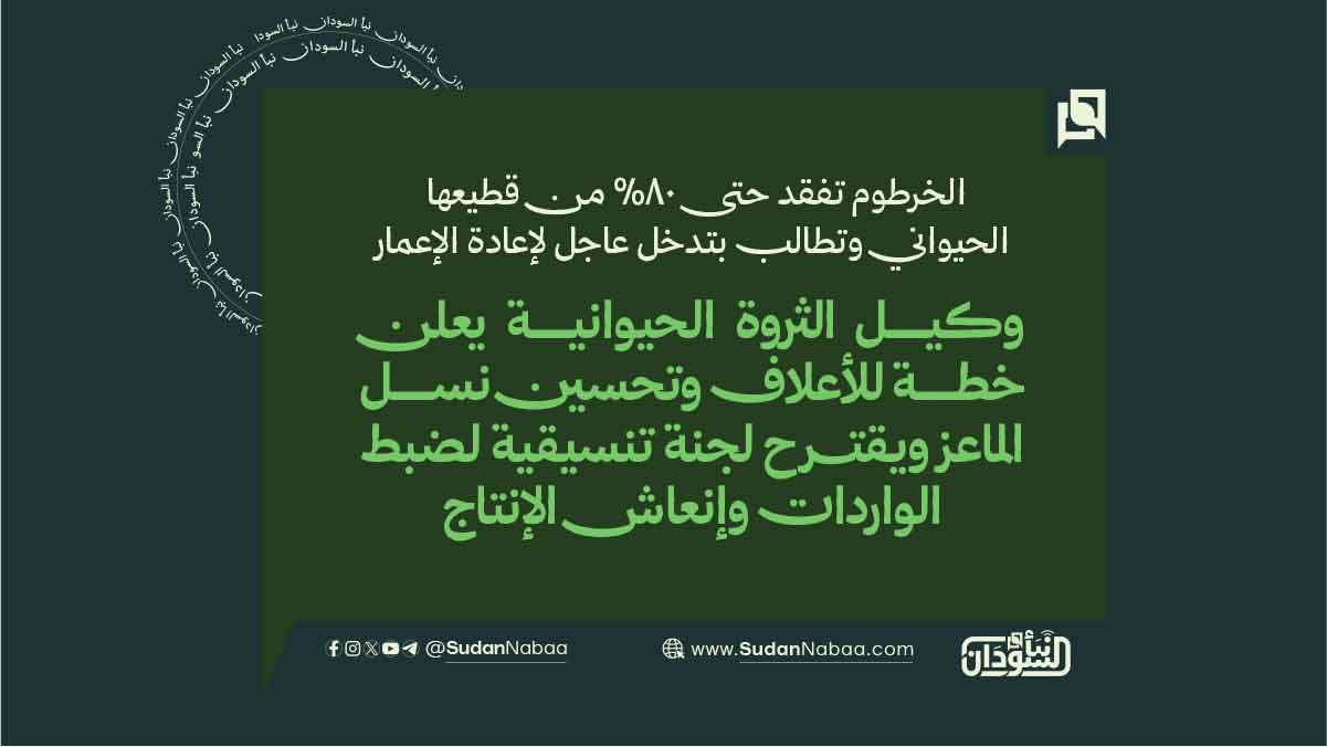 الخرطوم تفقد حتى 80% من قطيعها الحيواني وتطالب بتدخل عاجل لإعادة الإعمار 10 الخرطوم تفقد حتى 80% من قطيعها الحيواني وتطالب بتدخل عاجل لإعادة الإعمار