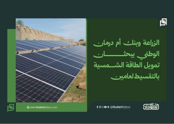 الزراعة وبنك أم درمان الوطني يبحثان تمويل الطاقة الشمسية بالتقسيط لعامين