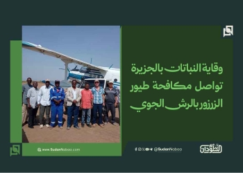 وقاية النباتات بالجزيرة تواصل مكافحة طيور الزرزور بالرش الجوي