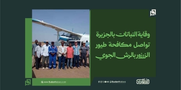 وقاية النباتات بالجزيرة تواصل مكافحة طيور الزرزور بالرش الجوي