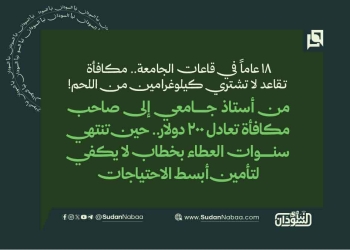 18 عاماً في قاعات الجامعة.. مكافأة تقاعد لا تشتري كيلوغرامين من اللحم!