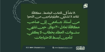 18 عاماً في قاعات الجامعة.. مكافأة تقاعد لا تشتري كيلوغرامين من اللحم!