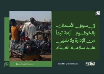 في سوق الأسماك بالخرطوم.. أزمة تبدأ من الإدارة ولا تنتهي عند سلامة الغذاء