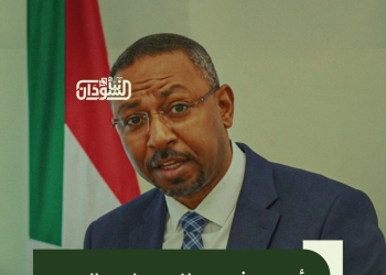 TSC President’s Political Adviser: RSF Drone Attack Kills 31 Civilians in ‎Blue Nile Region