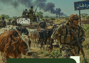 Dar Hamar Emergency Room: RSF Militia Loots 350 Cattle in West ‎Kordofan