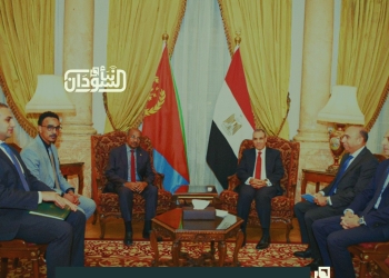 Egyptian-Eritrean Talks Held in Cairo