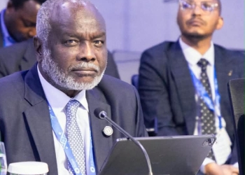 Sudan Calls for Coordination Among Borrowing Nations and Global Financial Reform 18 Sudan Calls for Coordination Among Borrowing Nations and Global Financial Reform