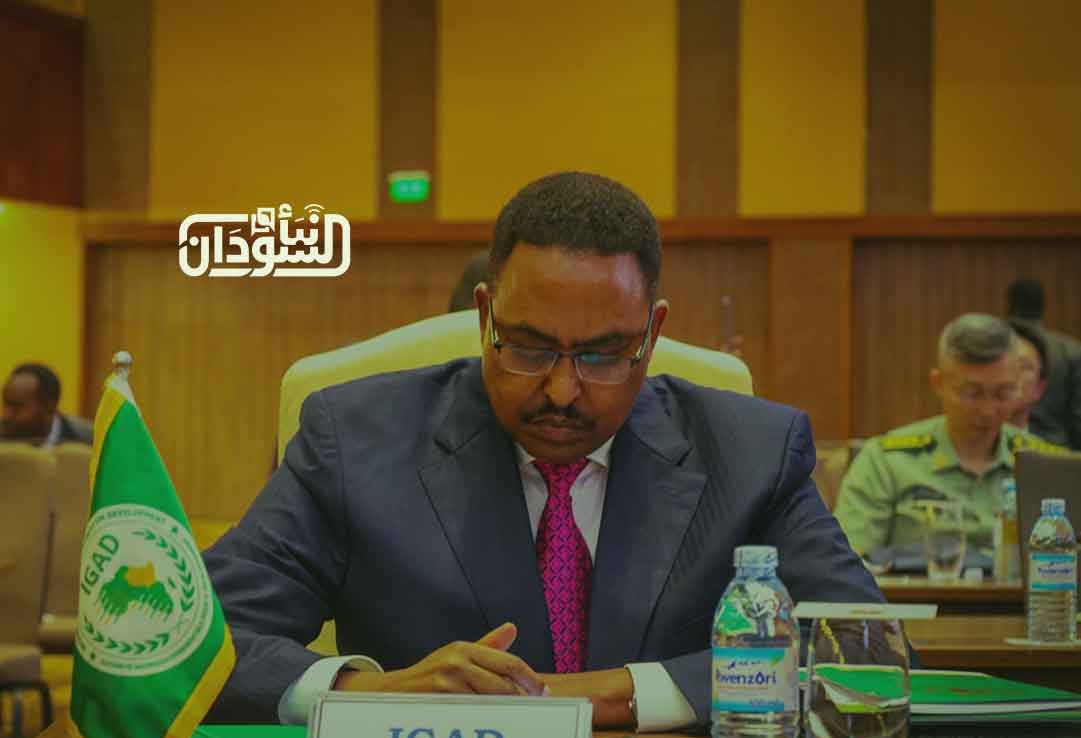IGAD Calls for Enhanced Military Cooperation and Joint Preparedness ‎in Africa