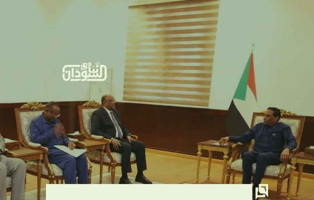Prime Minister Reviews Performance of Foreign Ministry and Diplomatic Missions Abroad 1 Idris Meets Foreign Minister