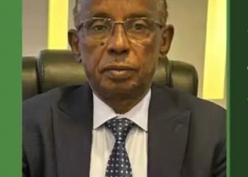 EU Affirms Support for Sudanese-Owned Sudanese-Led Dialogue