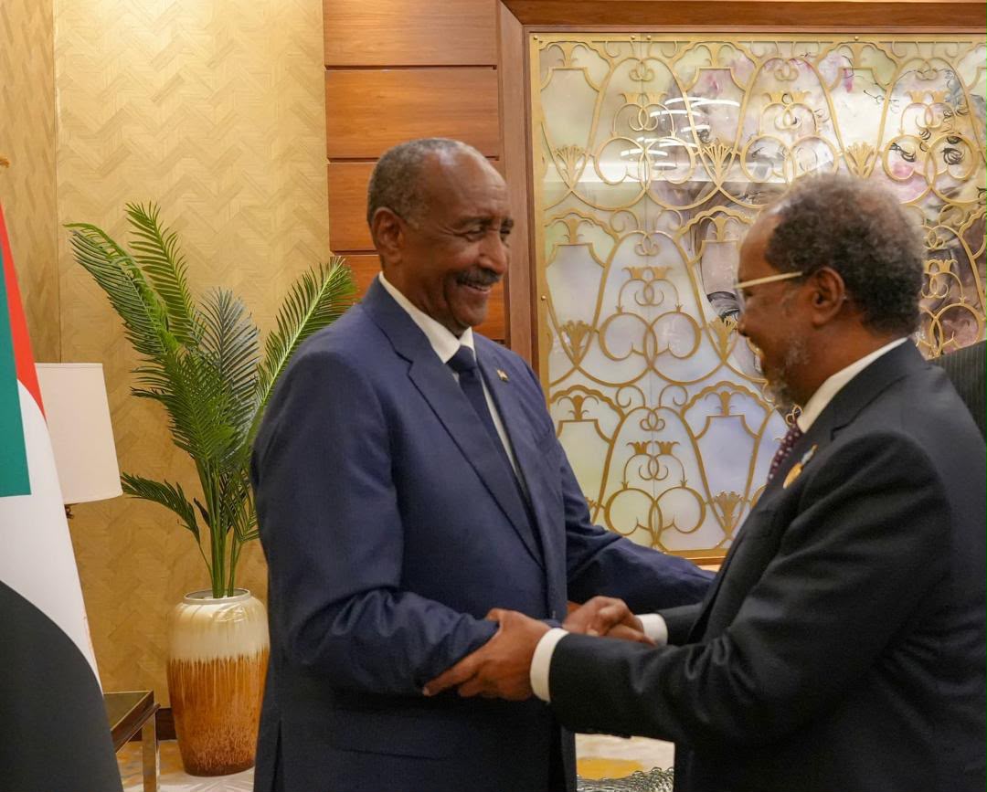 Al-Burhan Meets Somali President Hassan Sheikh Mohamud 10 Al-Burhan Meets Somali President Hassan Sheikh Mohamud