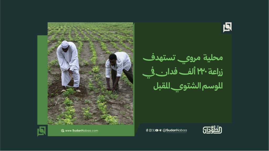 محلية مروي تستهدف زراعة 220 ألف فدان في الموسم الشتوي المقبل 1 final to clinet Recovered قوالب أخبار عادية نموذج مقاس موقع copy 5