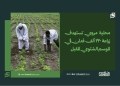 محلية مروي تستهدف زراعة 220 ألف فدان في الموسم الشتوي المقبل