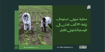 محلية مروي تستهدف زراعة 220 ألف فدان في الموسم الشتوي المقبل