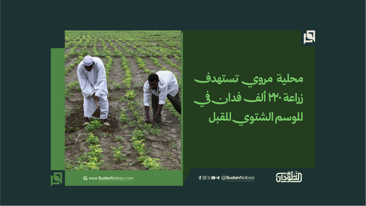 محلية مروي تستهدف زراعة 220 ألف فدان في الموسم الشتوي المقبل 10 محلية مروي تستهدف زراعة 220 ألف فدان في الموسم الشتوي المقبل
