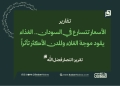 الأسعار تتسارع في السودان.. الغذاء يقود موجة الغلاء والمدن الأكثر تأثراً 14 الأسعار تتسارع في السودان.. الغذاء يقود موجة الغلاء والمدن الأكثر تأثراً