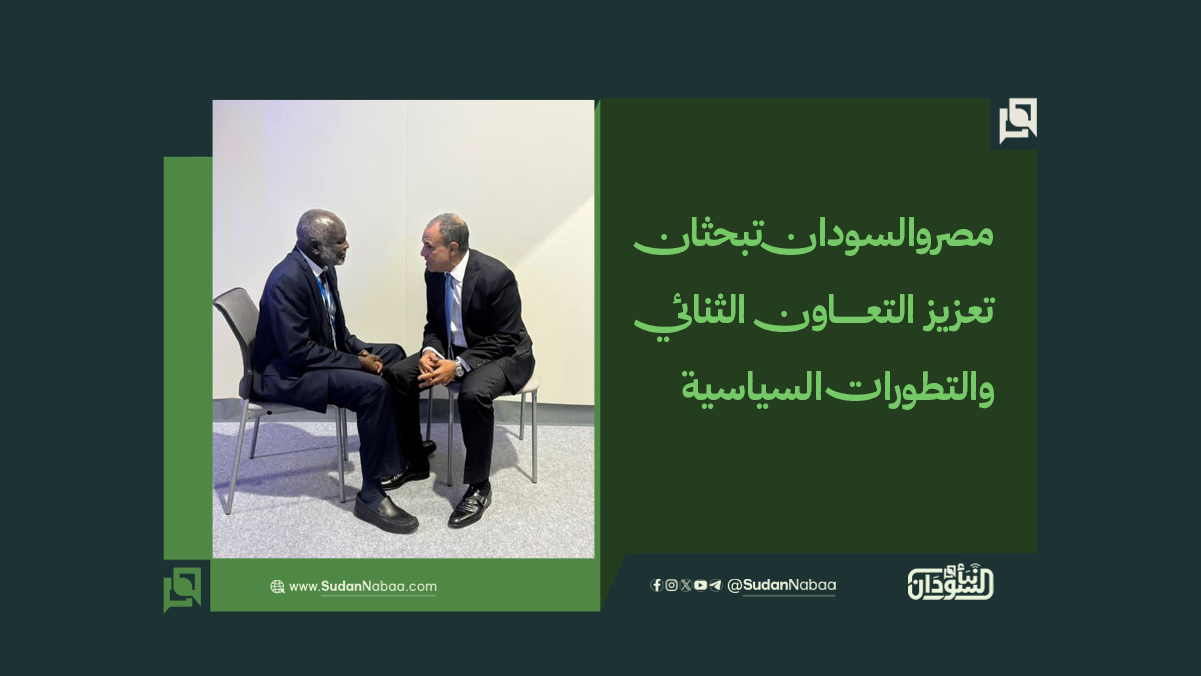 مصر والسودان تبحثان تعزيز التعاون الثنائي والتطورات السياسية 10 مصر والسودان تبحثان تعزيز التعاون الثنائي والتطورات السياسية