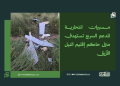 مسيرات انتحارية للدعم السريع تستهدف منزل حاكم إقليم النيل الأزرق