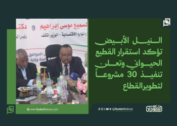 النيل الأبيض تؤكد استقرار القطيع الحيواني وتعلن تنفيذ 30 مشروعاً لتطوير القطاع 15 النيل الأبيض تؤكد استقرار القطيع الحيواني وتعلن تنفيذ 30 مشروعاً لتطوير القطاع