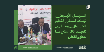 النيل الأبيض تؤكد استقرار القطيع الحيواني وتعلن تنفيذ 30 مشروعاً لتطوير القطاع 1 النيل الأبيض تؤكد استقرار القطيع الحيواني وتعلن تنفيذ 30 مشروعاً لتطوير القطاع