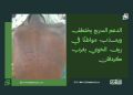 الدعم السريع يختطف ويعذب مواطنًا في ريف الخوي بغرب كردفان
