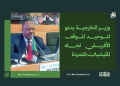 وزير الخارجية يدعو لتوحيد الموقف الأفريقي تجاه المليشيات المتمردة 14 وزير الخارجية يدعو لتوحيد الموقف الأفريقي تجاه المليشيات المتمردة