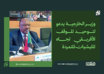 وزير الخارجية يدعو لتوحيد الموقف الأفريقي تجاه المليشيات المتمردة